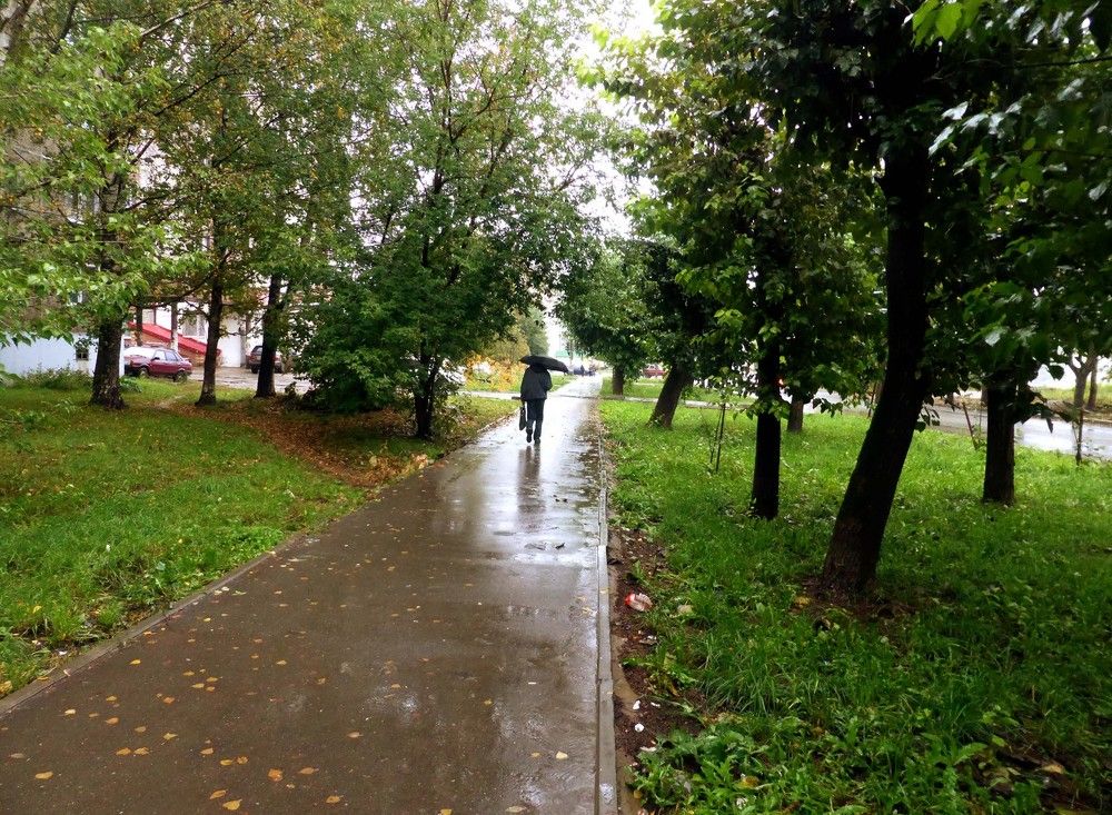 Photograph by Алексей Логинов