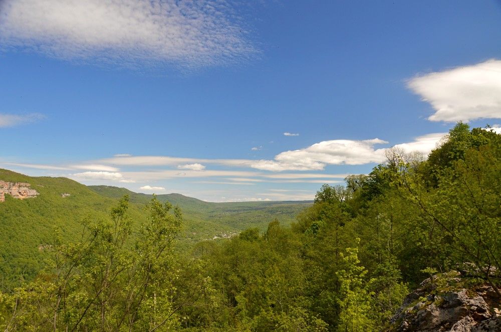 Photograph by Ольга Шевцова