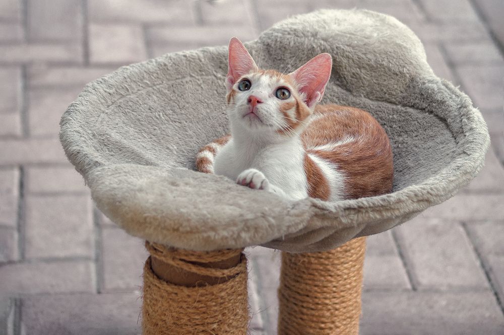 Photograph by Oxana Berezovskaya