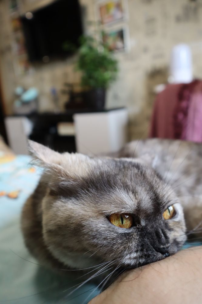 Photograph by Aleksey Zudin