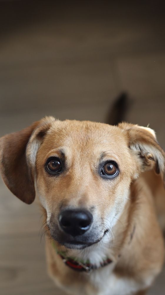 Photograph by Aleksey Zudin