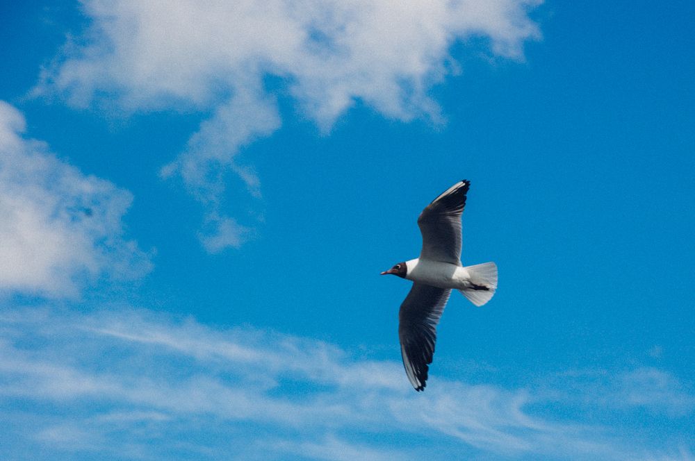 Photograph by Алексей