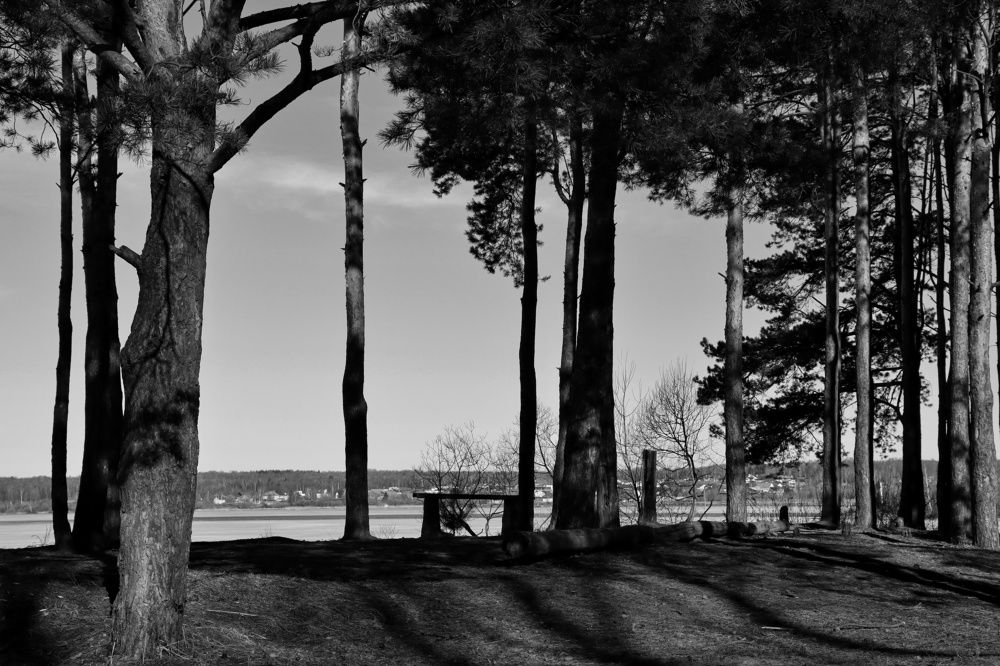 Photograph by Ирина Новицкая