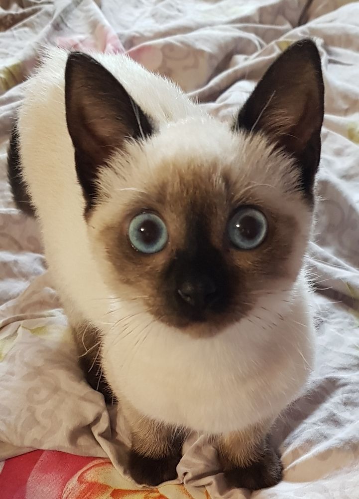 Photograph by Ivan Karavka