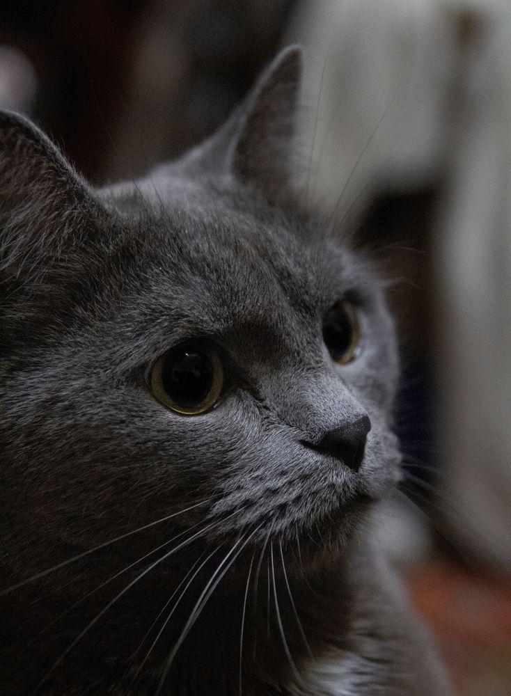 Photograph by Сергей Григоров