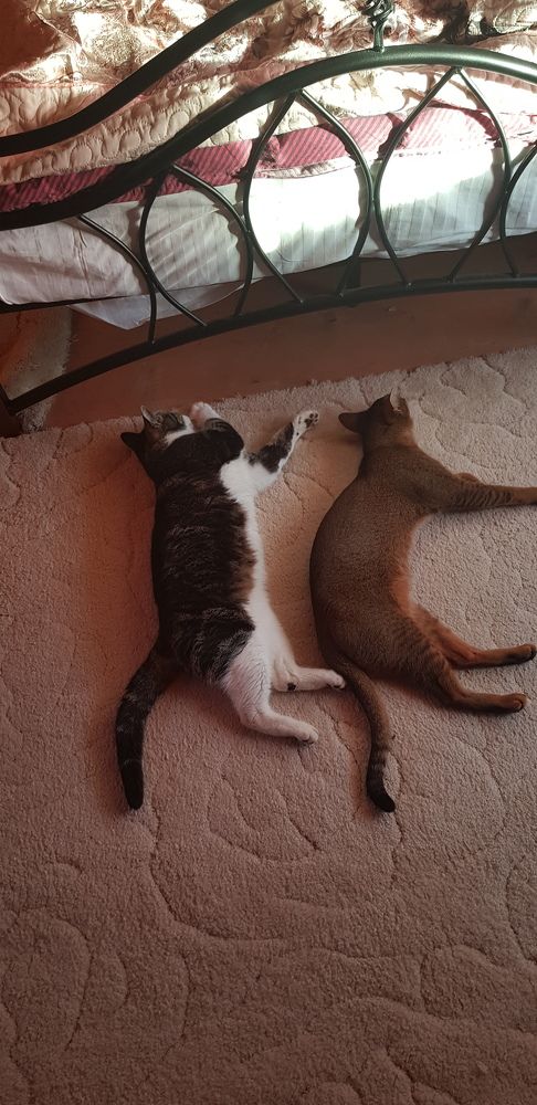 Photograph by Ivan Karavka