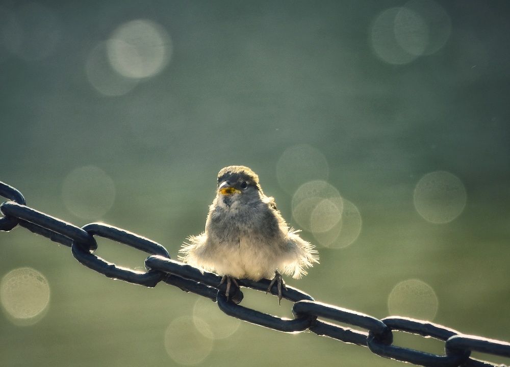 Photograph by Natalia Bolotenkova