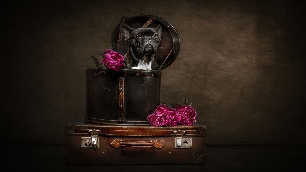 Фотография автора Linda Celis