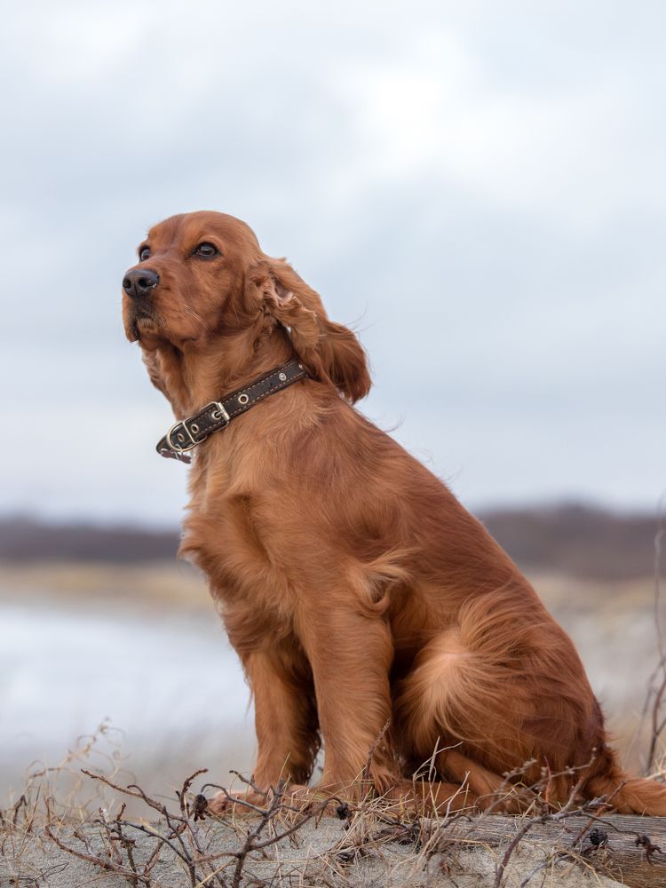 Photograph by Наталья Брюхненко