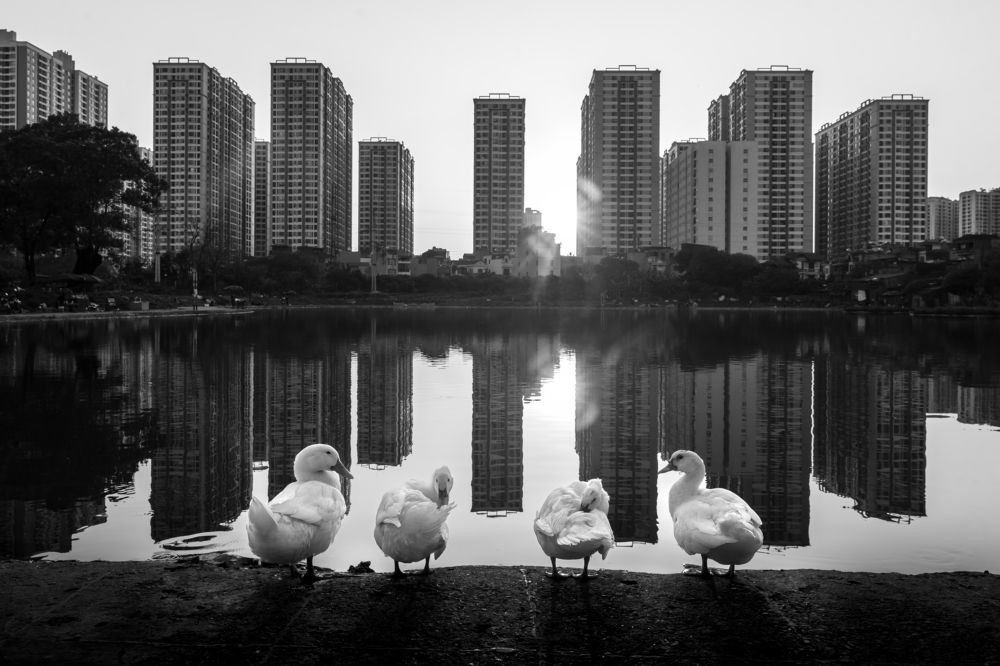 Photograph by Bao Nguyen Gia