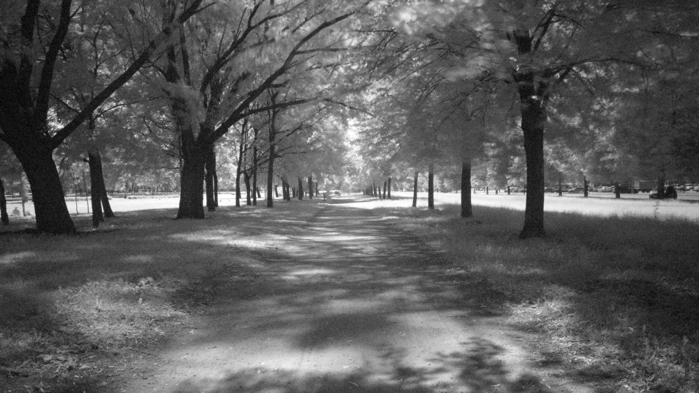 Photograph by Виктор Кожин