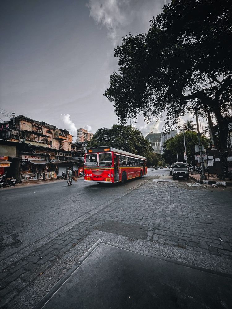 Photograph by Basid sayed