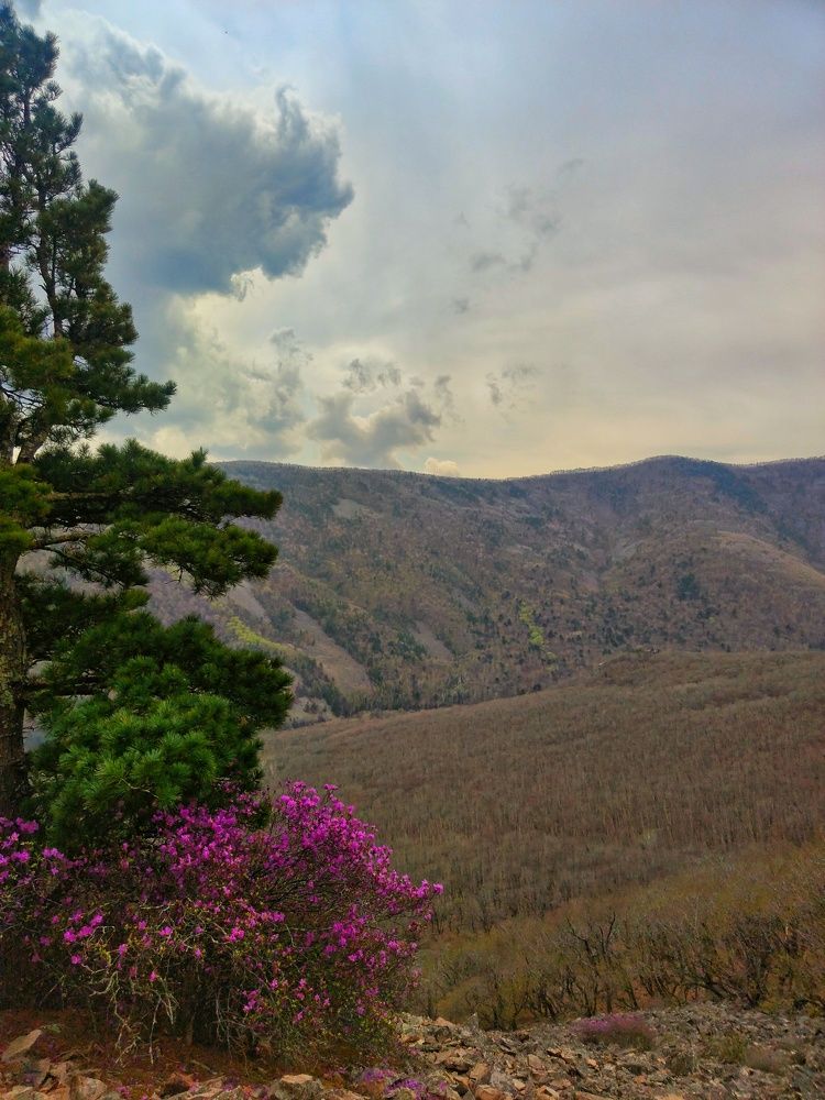 Photograph by Aleksey Zudin