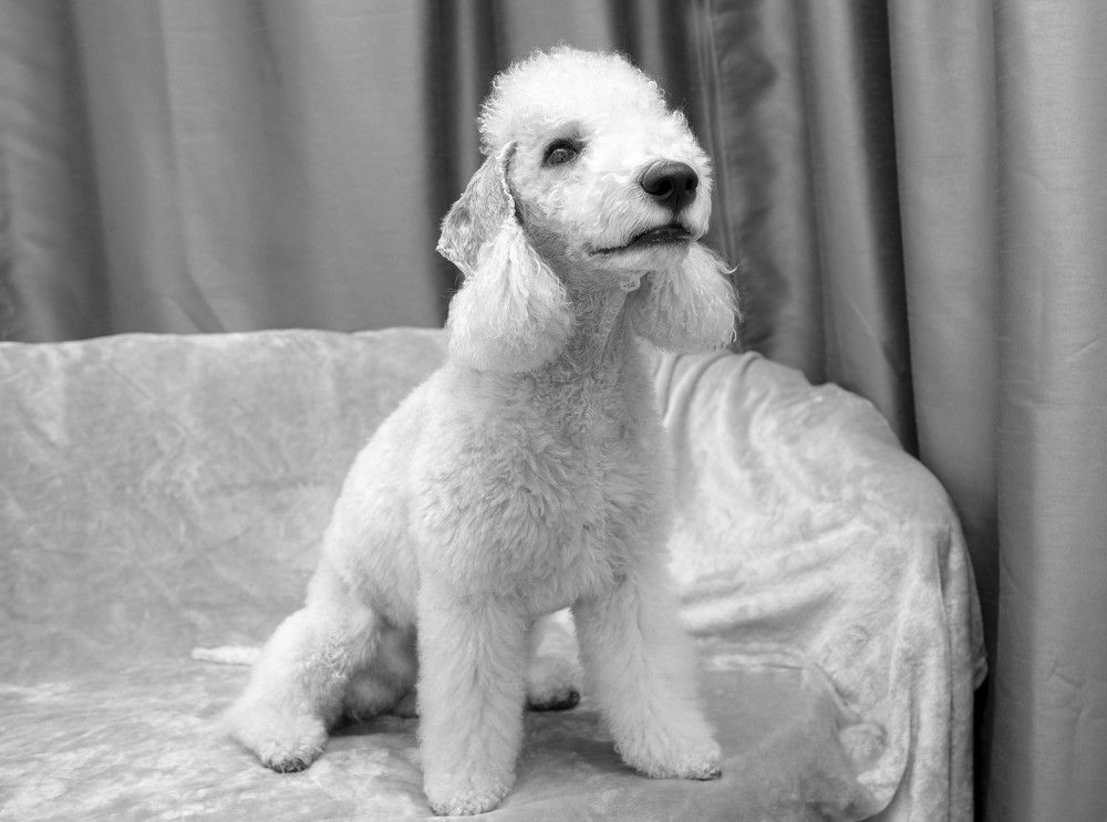 Photograph by Наталья Катюжанская