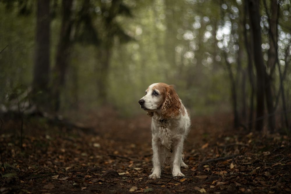 Photograph by Наталия Иванова