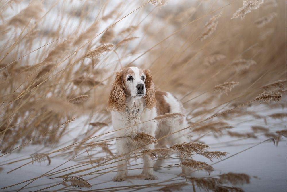 Photograph by Наталия Иванова