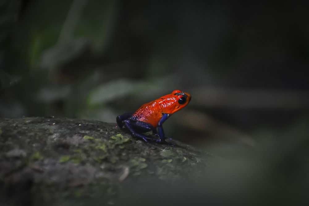 Photograph by Jeffry Castro