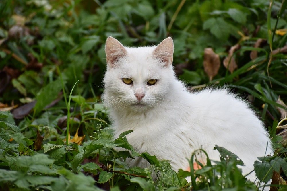 Photograph by Валерий Талейко