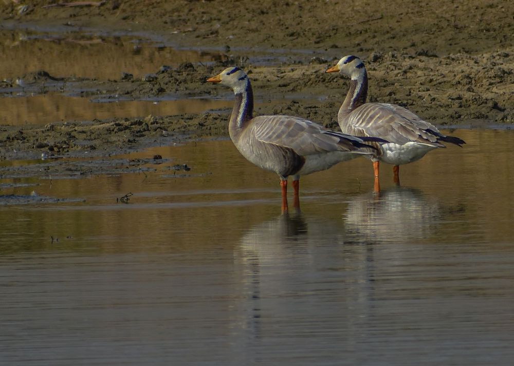 Photograph by Reyaansh Mittal