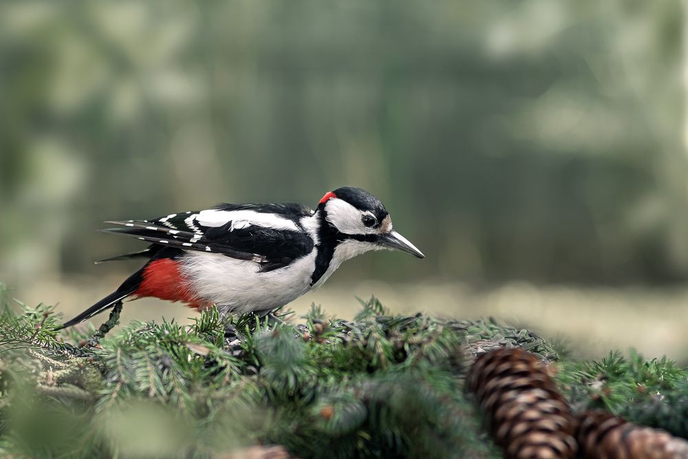 Photograph by Наталия Иванова