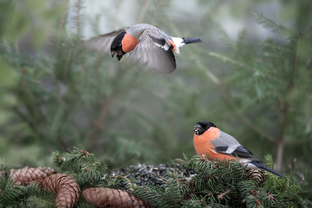 Photograph by Наталия Иванова