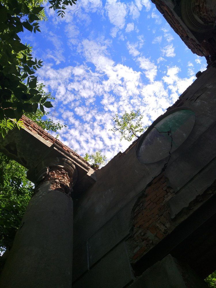 Photo #7603098