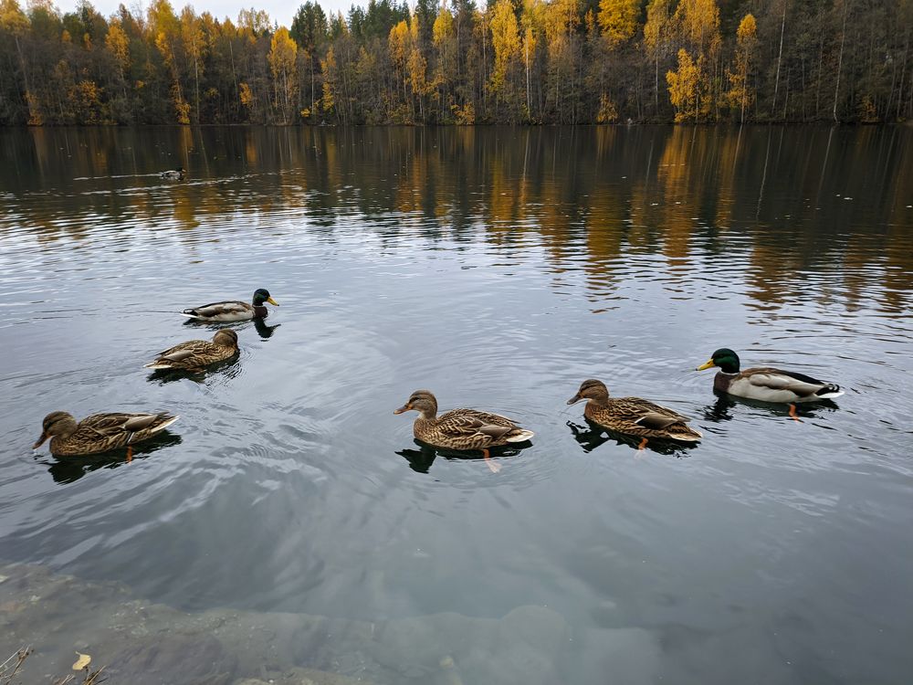 Фотография автора Тамара Нижельская