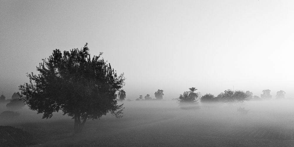 Фотография автора Hossam Konsowa