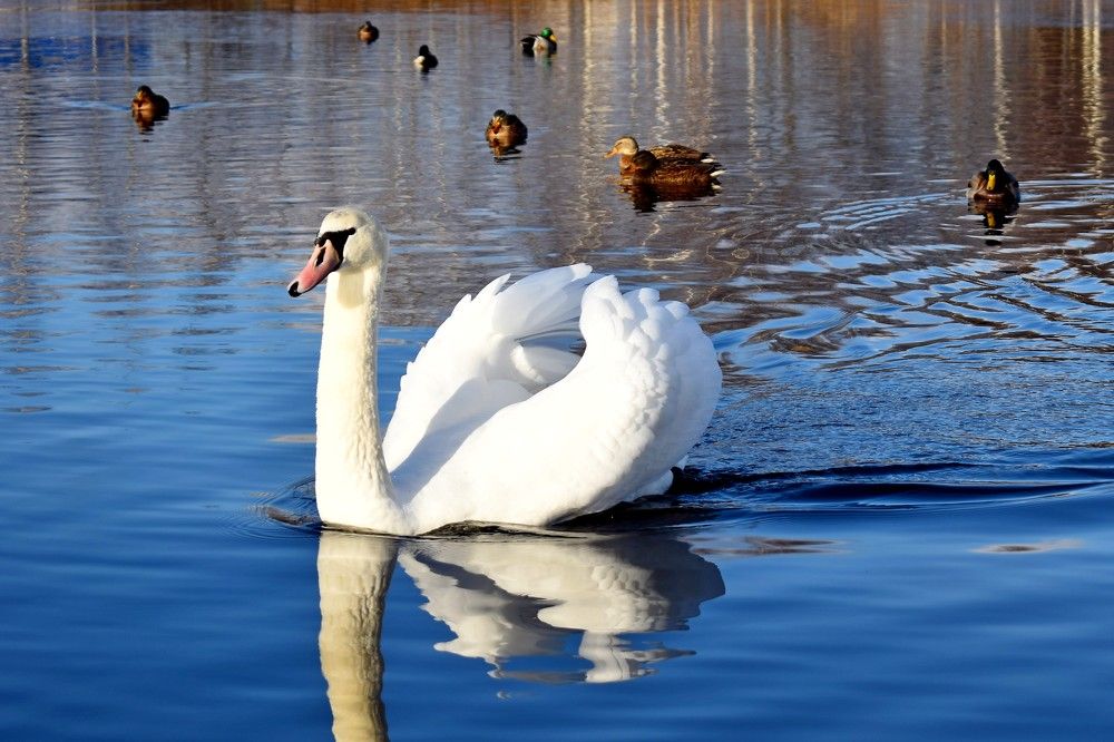 Photograph by Валерий Талейко