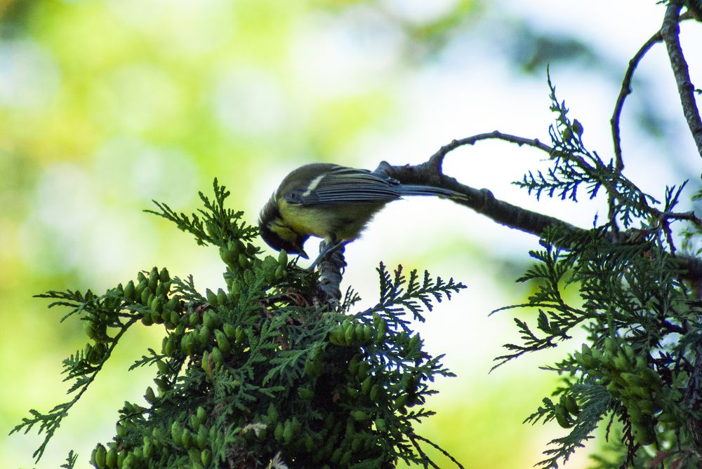Photograph by Екатерина Бахтинова