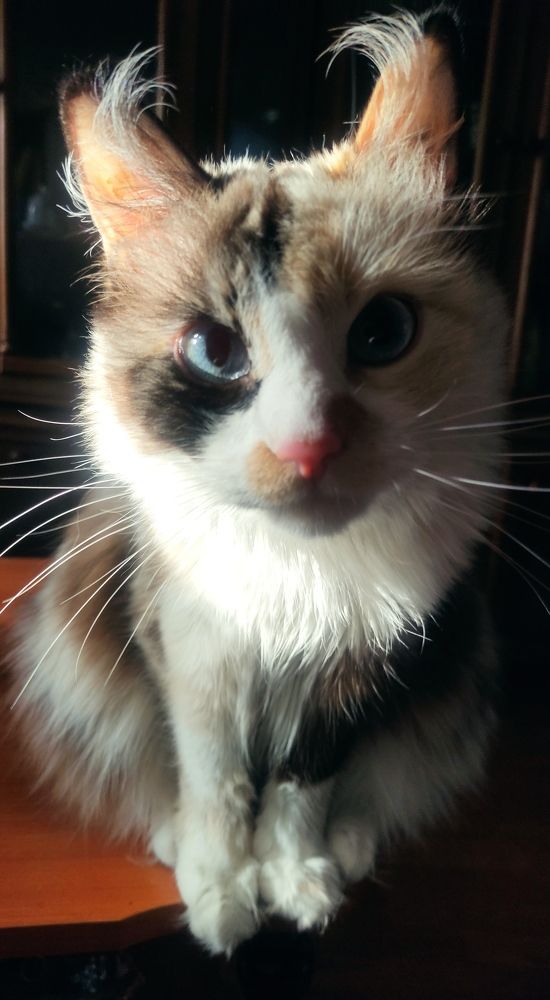 Photograph by Яна Шишкина