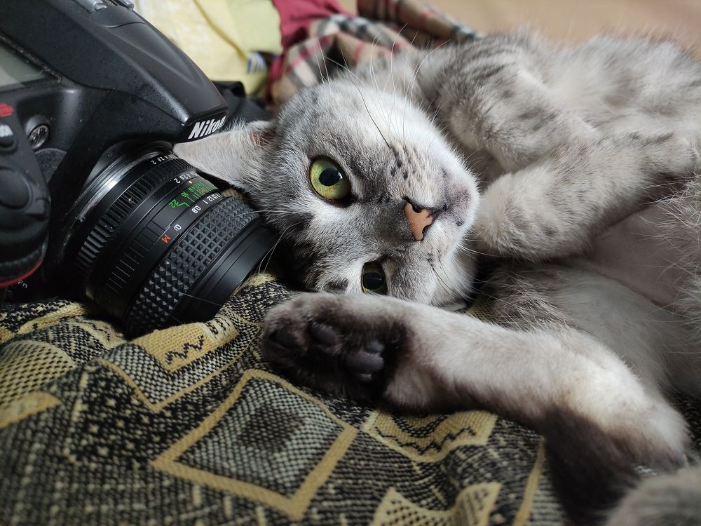 Photograph by Яна Шишкина