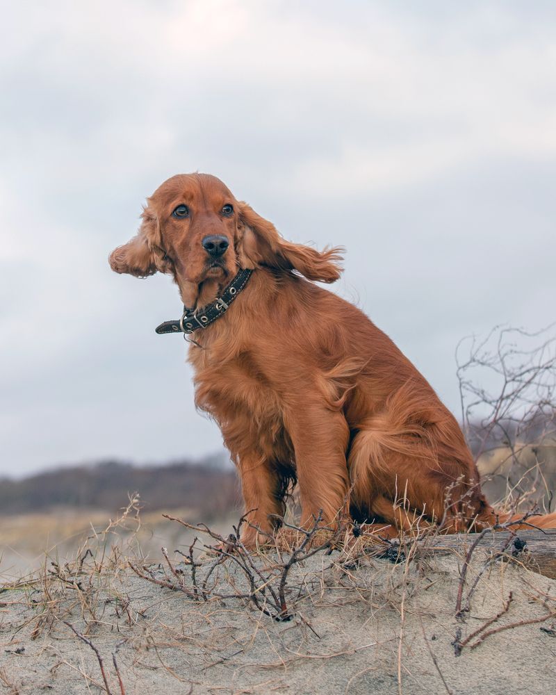 Photograph by Наталья Брюхненко