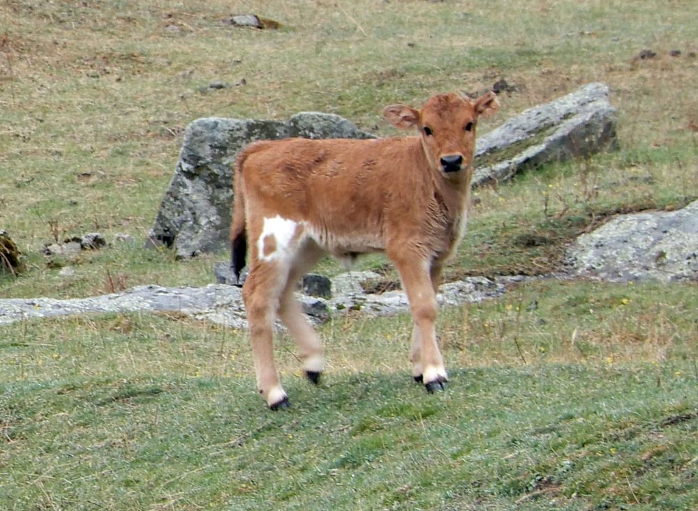 Photograph by София Гавриловна Вотякова