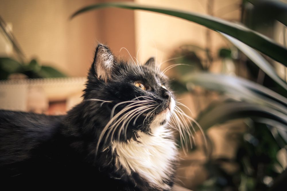 Фотография автора OKSANA