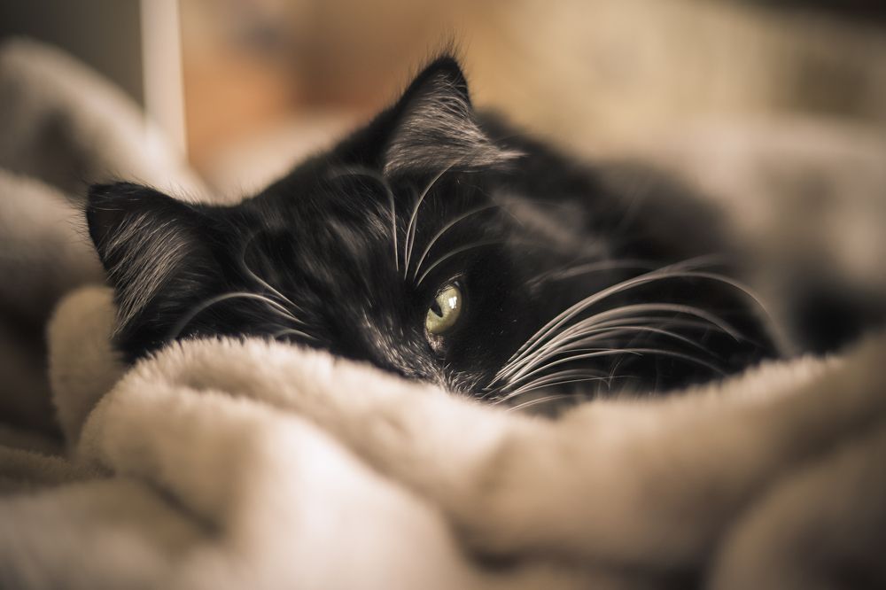 Фотография автора OKSANA