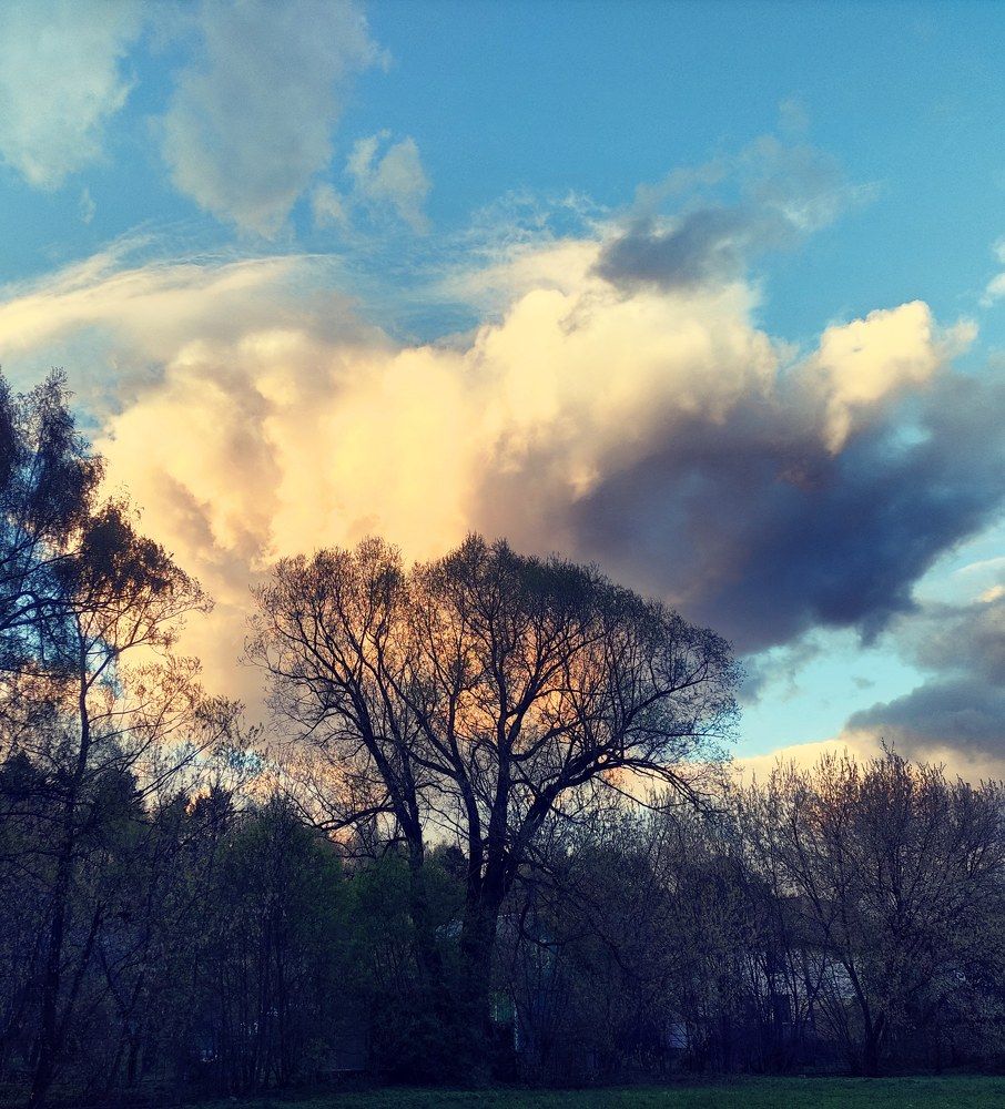 Photograph by Яна Шишкина