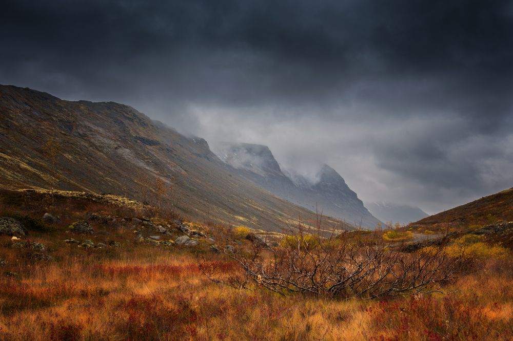 Photograph by Gureva Elena