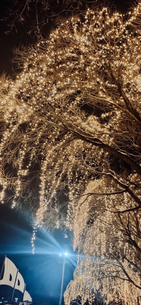 Photograph by Нестерова Карина