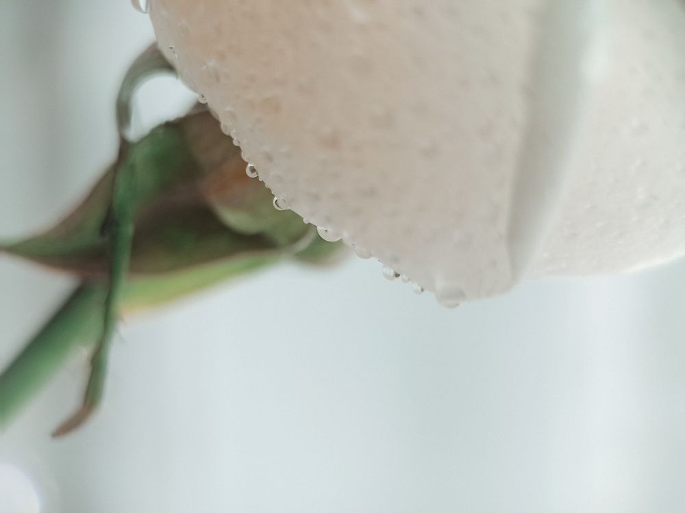 Photograph by Нестерова Карина