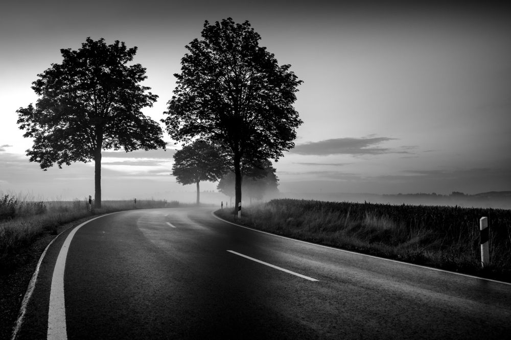 Photograph by Sven Svensøn