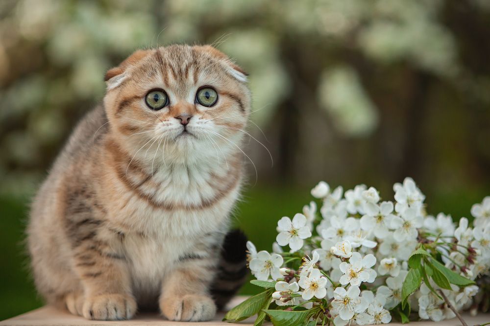 Photograph by Марина Леоненко