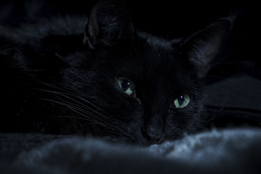 Photograph by Тимофей Белокопытов