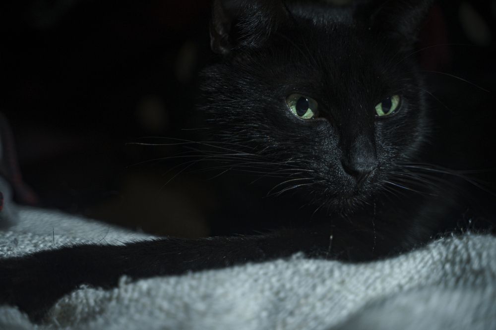 Photograph by Тимофей Белокопытов