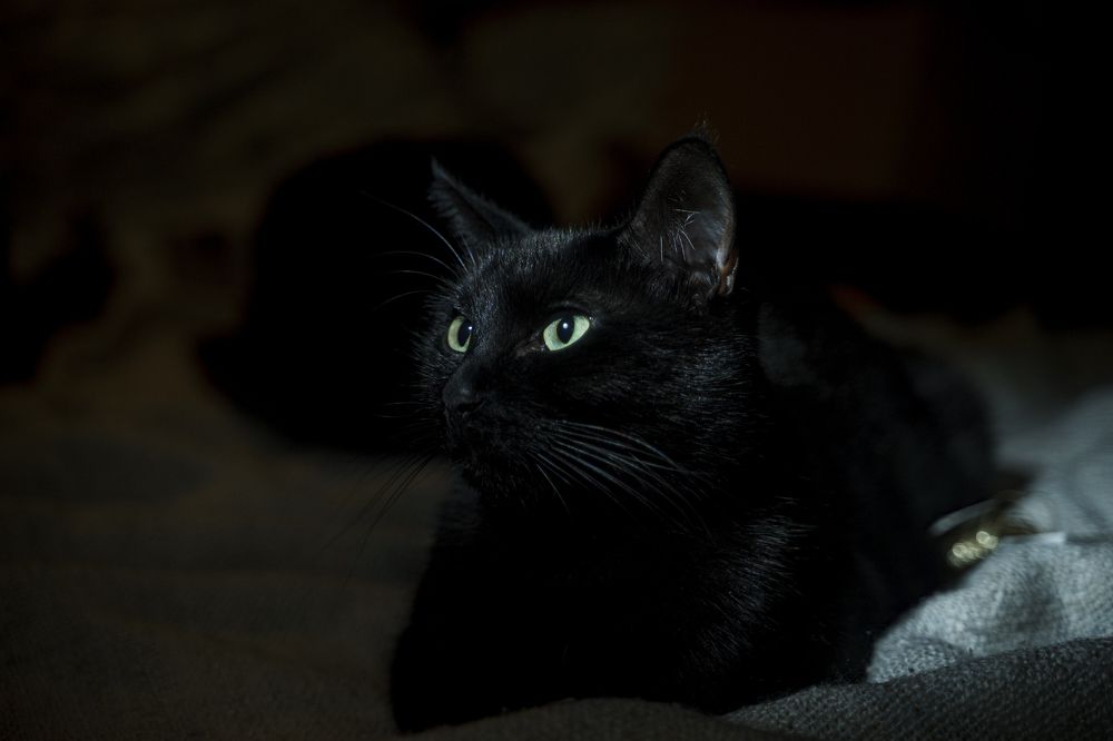 Photograph by Тимофей Белокопытов