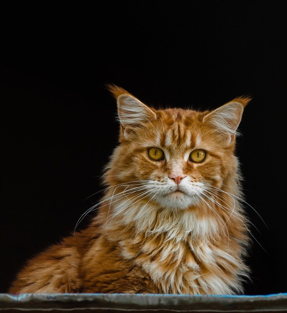 Photograph by Сергей Балухта