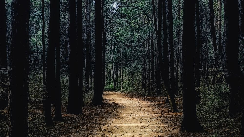 Photograph by Светлана Барабанова