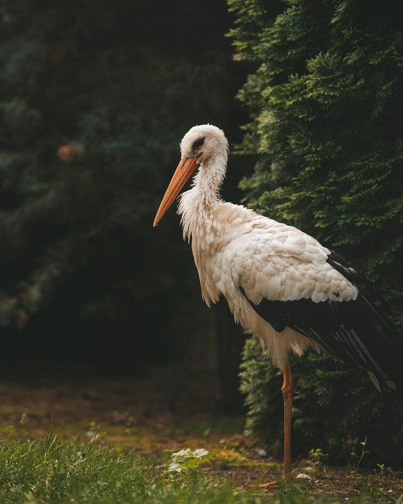 Photograph by Яна Котлярова