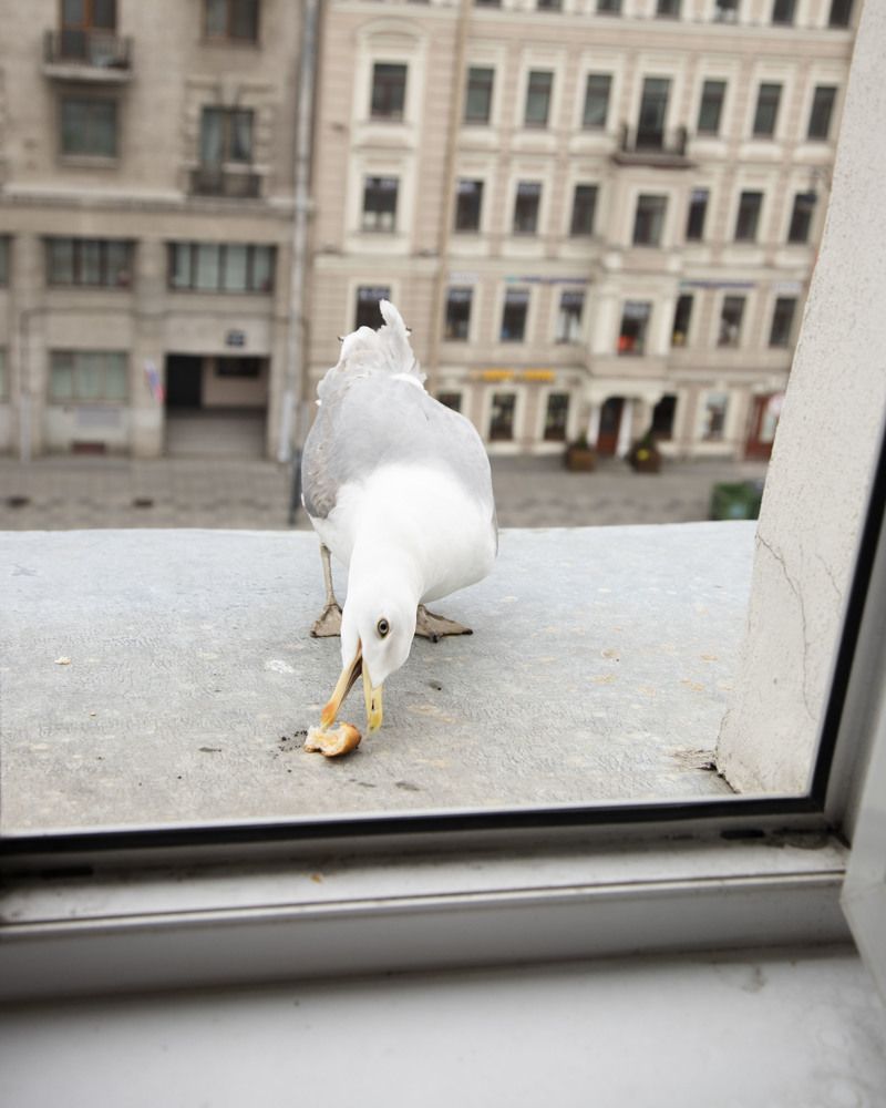 Photograph by Мария