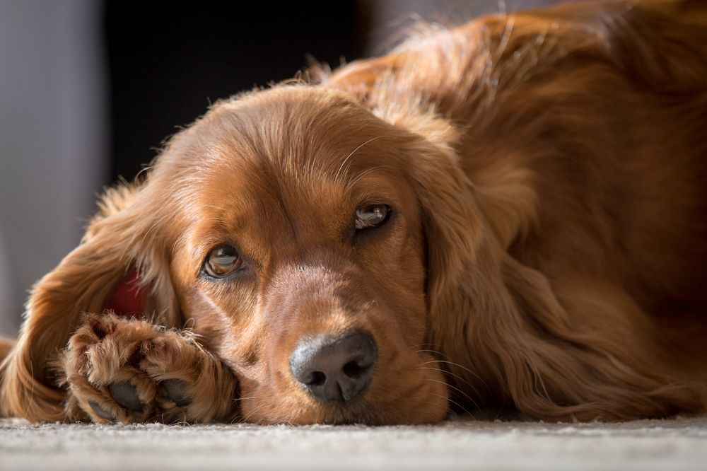 Photograph by Наталья Брюхненко